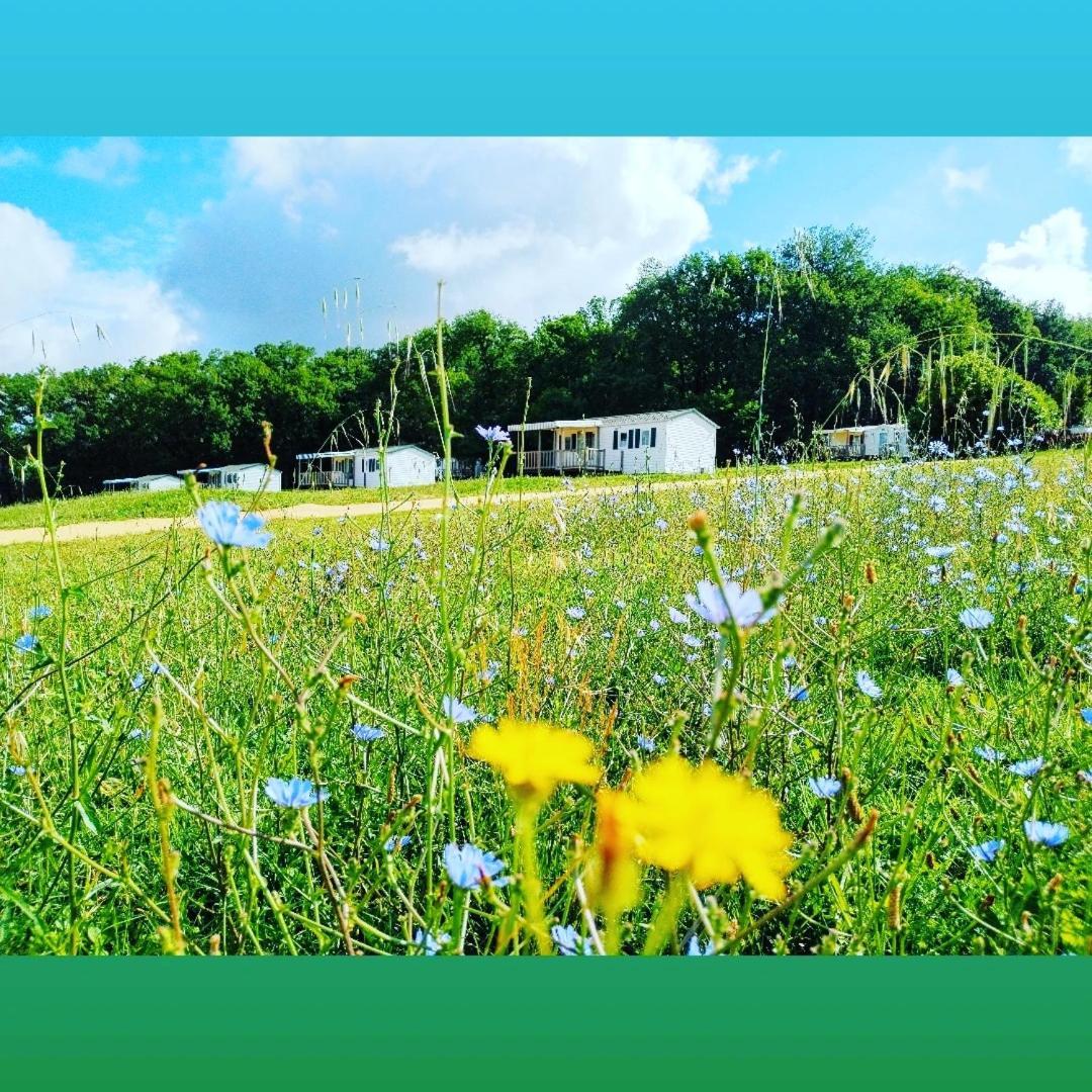 Camping Nature Le Valenty Mobil-Home-Dordogne Panoramique Clim Piscine Soturac Exterior photo