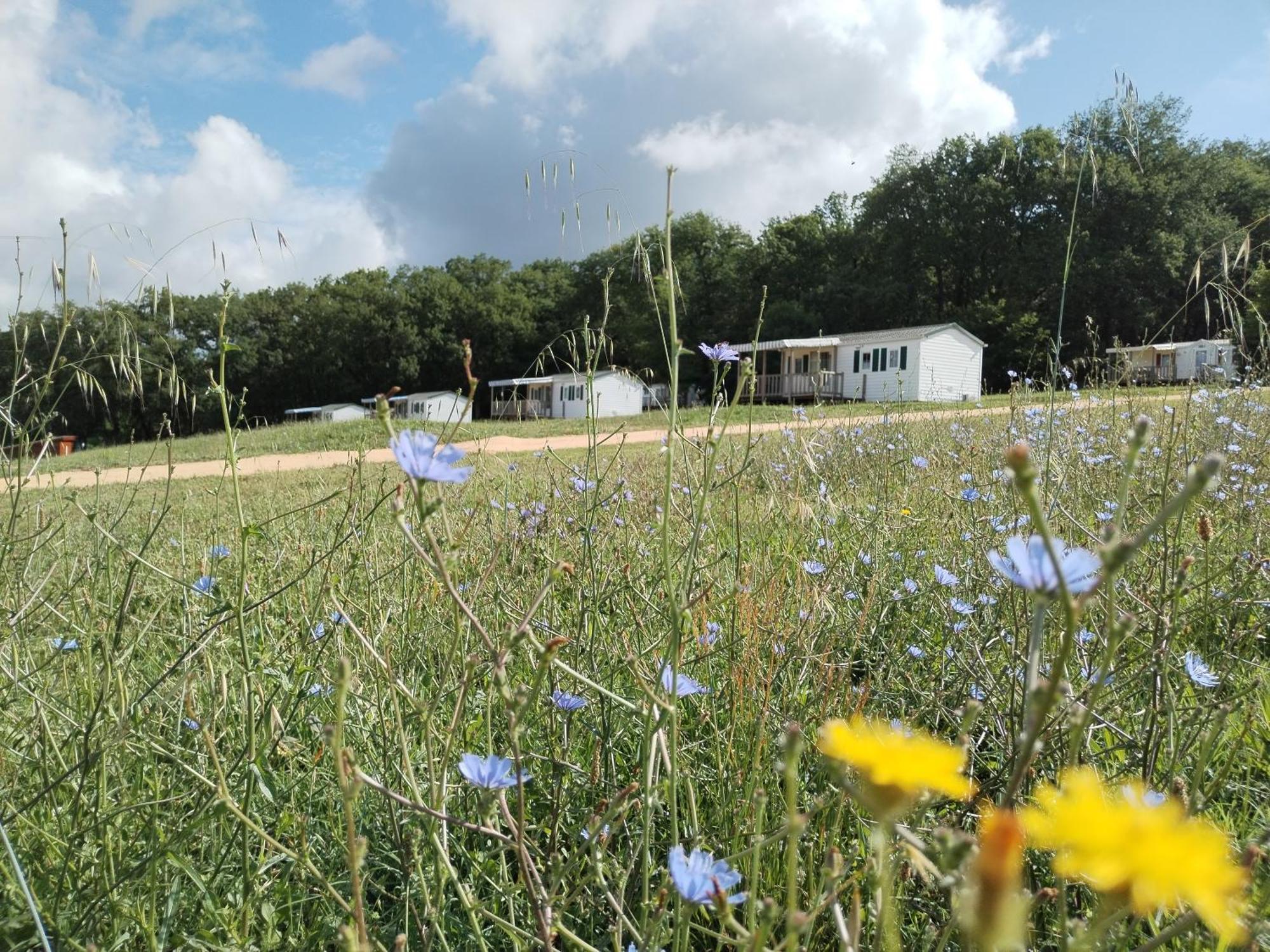 Camping Nature Le Valenty Mobil-Home-Dordogne Panoramique Clim Piscine Soturac Exterior photo