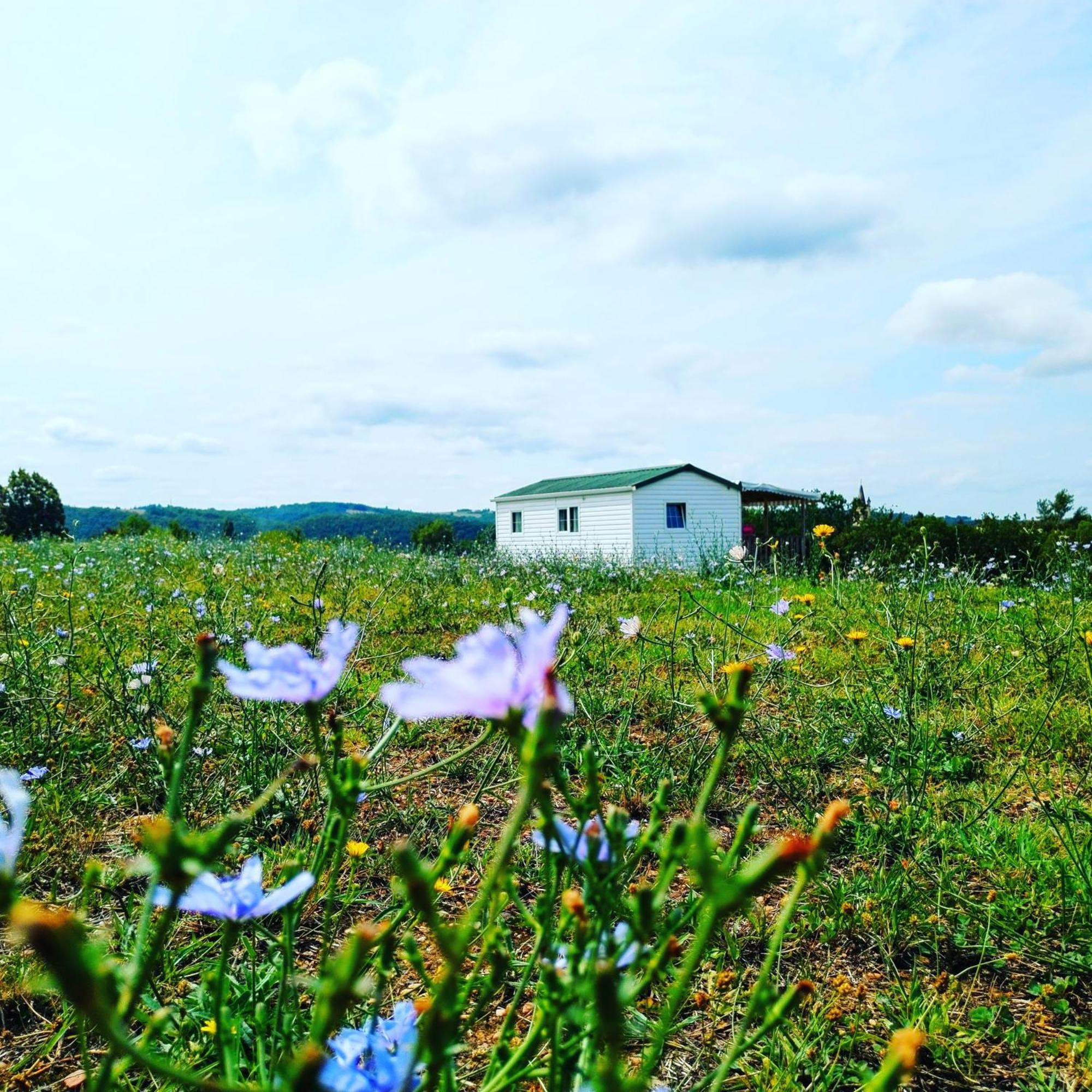 Camping Nature Le Valenty Mobil-Home-Dordogne Panoramique Clim Piscine Soturac Exterior photo